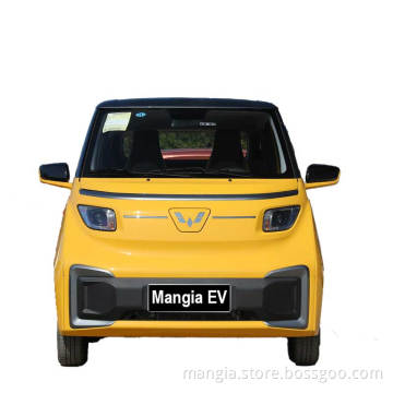 Household mini new electric vehicle Two seat four wheel adult electric vehicle Wuling Nano EV New Chinese electric vehicle